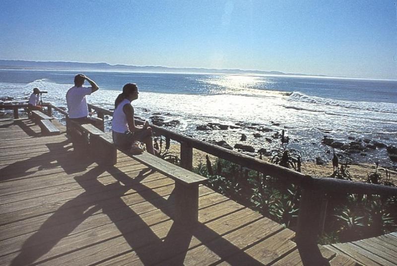 Diaz 15 House On The Bay Hotel Jeffreysbaai Buitenkant foto